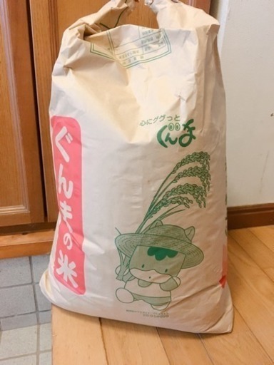 お米(コシヒカリ)H29産  30kg