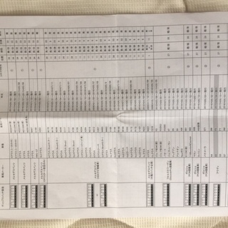 輸入車用TVキャンセラー　CTC-102Ⅱ TypeM