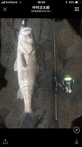 シーバス釣り友 募集 カナ 香椎のその他のメンバー募集 無料掲載の掲示板 ジモティー
