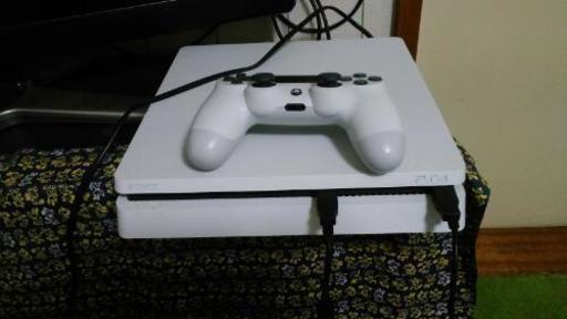 値下げ+おまけ)PS4本体とソフトとコントローラー | zsp-hornilidec.cz