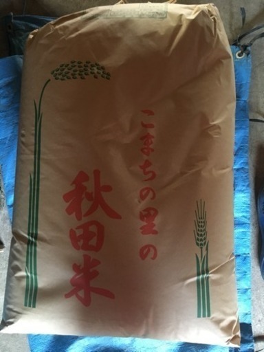 あきたこまち 29年産米  玄米