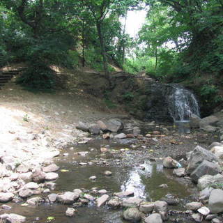 【民泊利用可能賃貸・札幌市豊平区】精神河畔公園の緑映える並木道に...