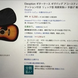 Eleoptionギターケース