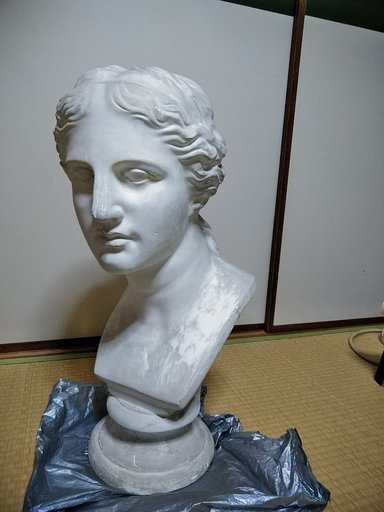 レビュー高評価の商品！ 石膏 デッサン ビーナス像 - 彫刻 