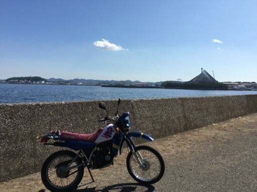 ヤマハ DT50(17W)