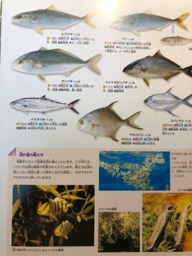 学研の図鑑 魚 美品 メイプル 甲子園の本 Cd Dvdの中古あげます 譲ります ジモティーで不用品の処分