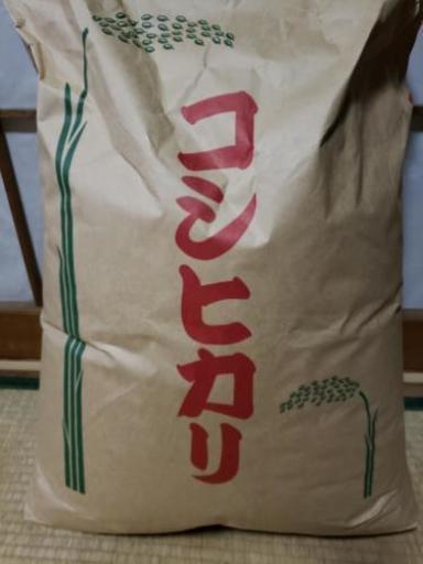 新米コシヒカリ30㎏
