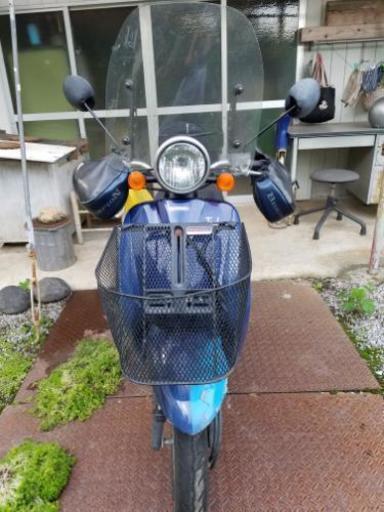 ホンダ　トゥデイ（原付バイク）
