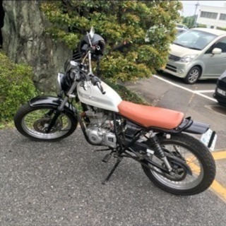 グラストラッカー 250