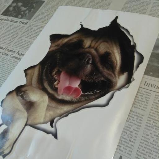 パグ犬が壁から飛び出る 珍しい海外輸入品トリックアートシール 知念隆司 生田の家具の中古あげます 譲ります ジモティーで不用品の処分 パグ犬が壁から飛び出る 珍しい海外輸入品トリックアートシール 知念隆司 生田の家具の中古あげます 譲ります ジモティーで不用品の処分