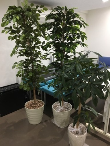 人工観葉植物