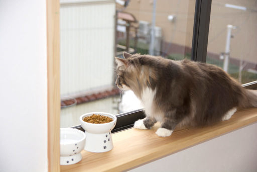 猫専用個室 ねこべや ケージレスのペットホテル 送迎無料 名古屋市 バロン 黒川のペットサービスの無料広告 無料掲載の掲示板 ジモティー