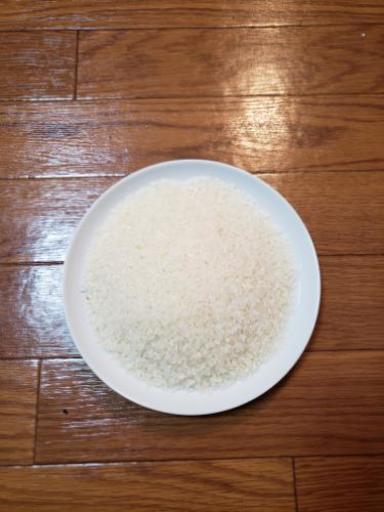 《令和5年産　限定数3袋》茨城コシヒカリ玄米