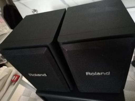 Roland cm-110 スピーカー