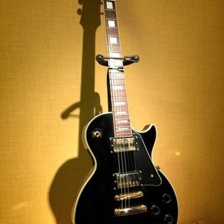 Epiphone LS Custom (おまけ付き)