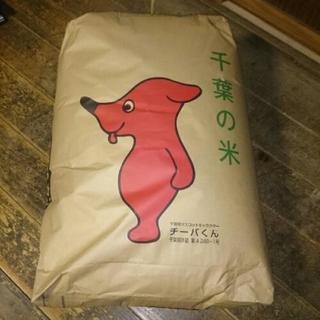 コシヒカリ30kg