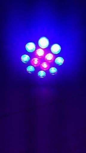 海水魚用LEDライト（青とピンク）