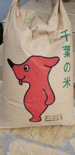 令和2年千葉県産コシヒカリ30kg古米です