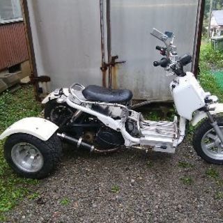 大幅に、値引きしました。ホンダズーマー風トライク125CC,エンジン一発始動 バックギア付き、サイドブレーキ付き。オートマチックです。の画像