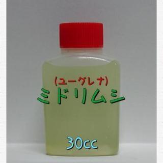 【ネット決済・配送可】生きたままの【ミドリムシ】生き餌や実験材料に