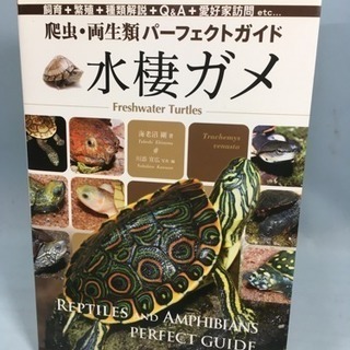 爬虫、両生類パーフェクトガイド 水棲ガメ