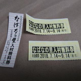 なばなの里入村無料券３枚