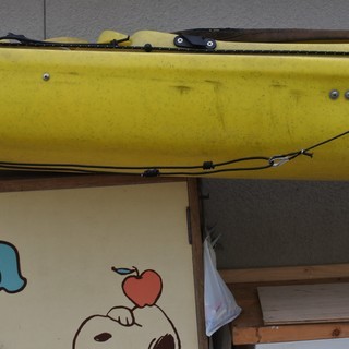 引き取りに来ていただける方