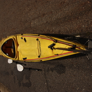 引き取りに来ていただける方