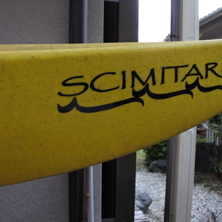 引き取りに来ていただける方