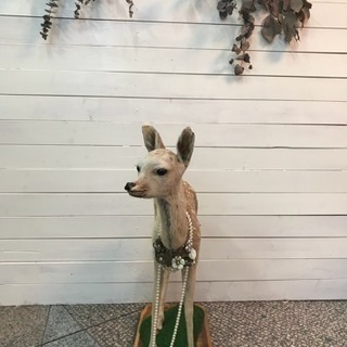 希少品です！バンビの剥製