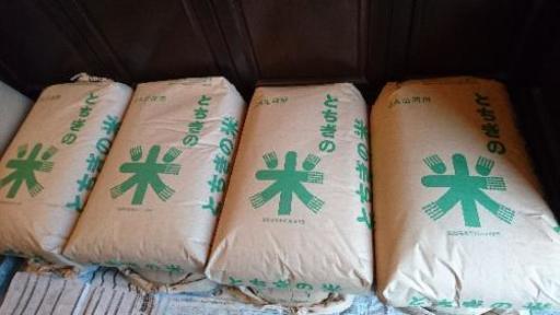【完売】しましたm(__)m2018新米コシヒカリ30kg