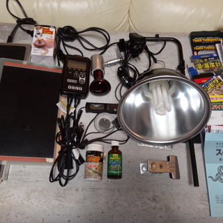 爬虫類・両生類などの飼育キット　一般販売価格　約40,000円相当　