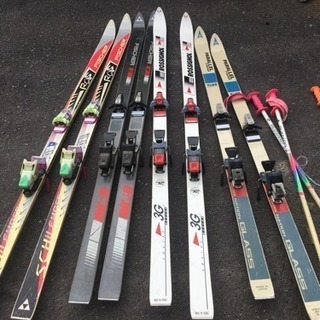 スキー板とストック、スキーキャリア