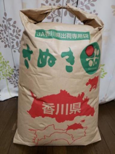 平成30年 新米コシヒカリ 玄米30kg 条件により送料無料④