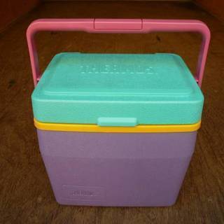 サーモス　クーラーボックス　THERMOS　キャンプ