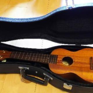 ウクレレ famous fs-5