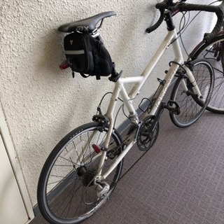 ルイガノLGS-MV 3R