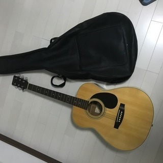 ヒストリー アコースティックギター