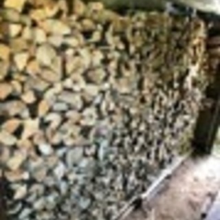 雑木薪