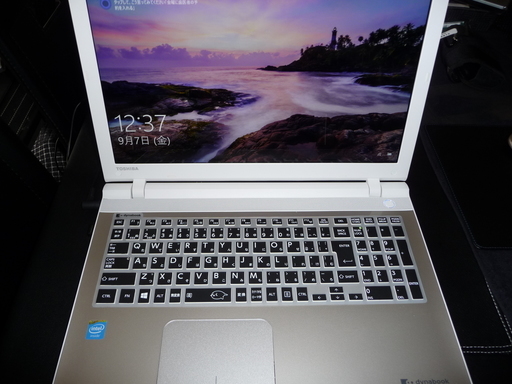 東芝 dynabook PC ・ Windows 10・ＥＸ/３９RＧ ・フルHD 1920×1080 ・8GB・HDD 1TB (おまけ付き)