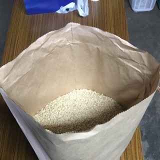新米 玄米 30kg 栃木県産コシヒカリ