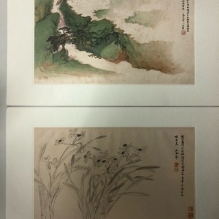 名画 故宮博物院蔵  花卉山水合冊 6枚揃