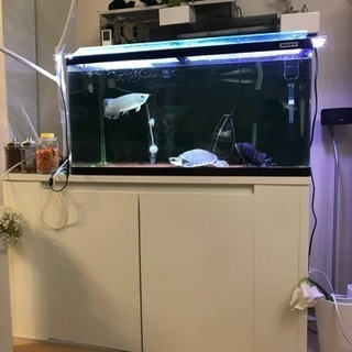 取引進行中 ニッソー ガラス水槽 90cm &120cm水槽台 中古