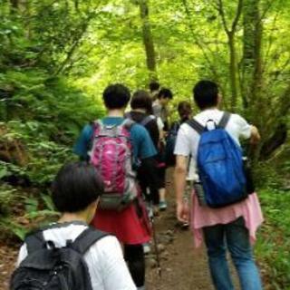 ゆる～～～い山登りしませんか？仲間募集中!! 