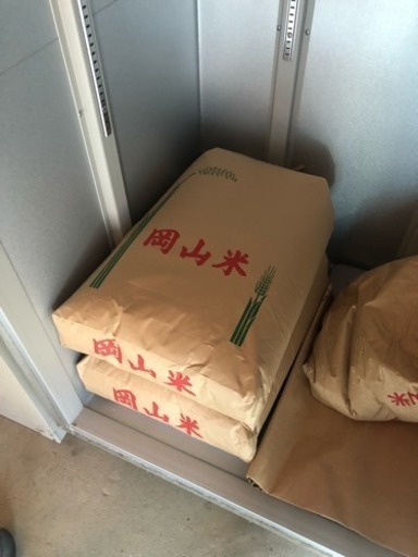 残り1袋 29年度 津山産 コシヒカリ 2袋のみ