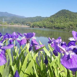 ヤマハ3人乗り手漕ぎボート