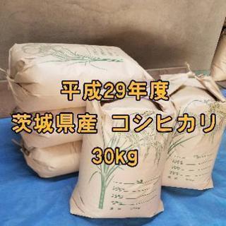 【平成29年度】 茨城県産 コシヒカリ 30kg 【4袋限定】