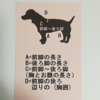 介護犬（老犬）歩行器
