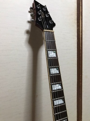 エレキギター、セミハードケース | gasreg.org.eg