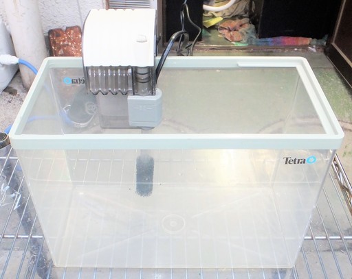スペクトラム ブランズ ジャパン テトラ Tetra 小型水槽 メダカの学校は アクアリウムにも ロボコン 港南台のその他の中古あげます 譲ります ジモティーで不用品の処分